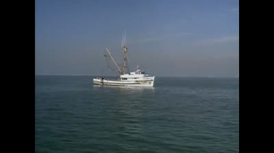 Baywatch 08x15 Vivere Al Massimo