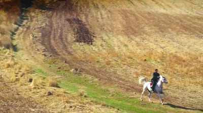 Hercai - Amore e vendetta_S02E31_Episodio 31