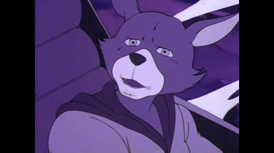 JAYCE - la capture de Jal Gorda (62)