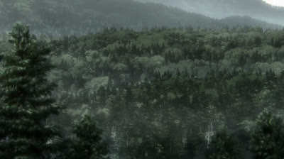 miau miau baldentino