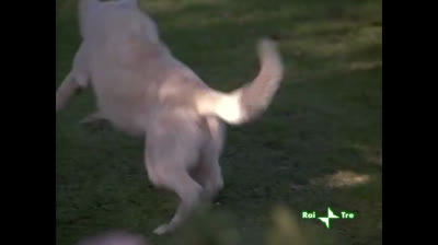 Cuore E Batticuore 04x15