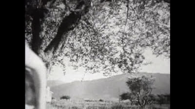 La Fille du puisatier   Raimu Fernandel Josette Day